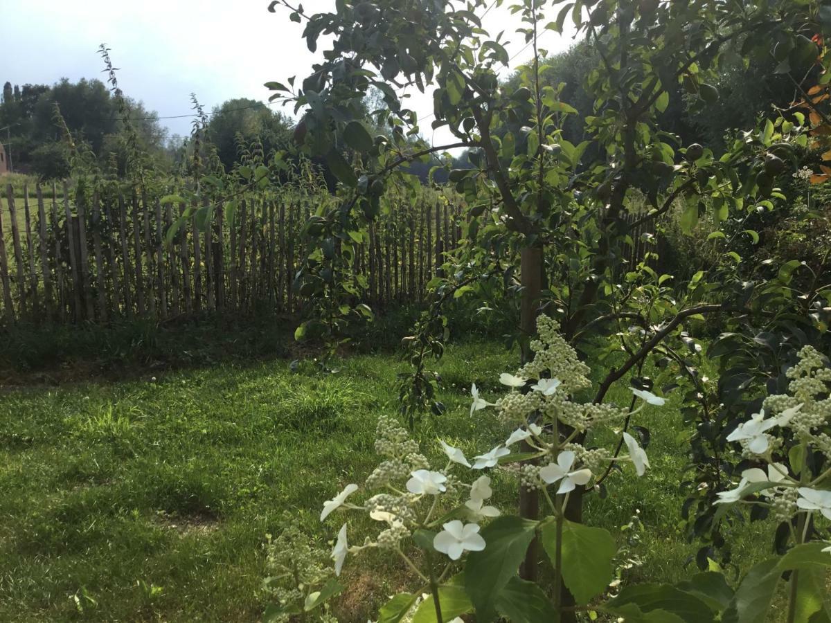 Bulles Et Natures B&B Hergnies Экстерьер фото